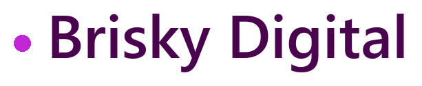 Brisky Digital logo